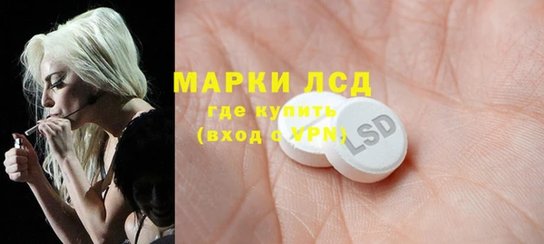 прущие грибы Абдулино
