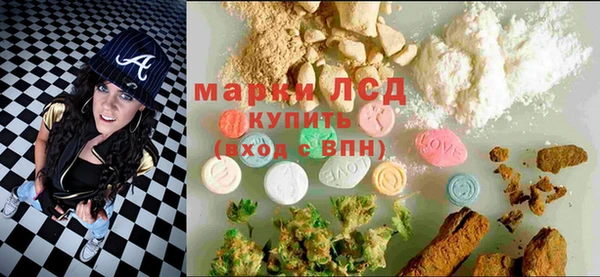 гидра Абаза