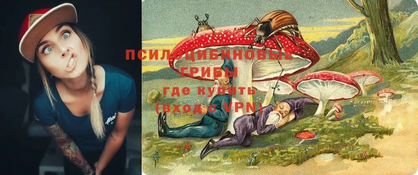 прущие грибы Абдулино