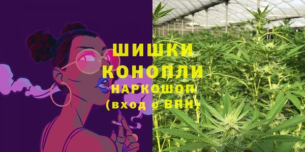 прущие грибы Абдулино