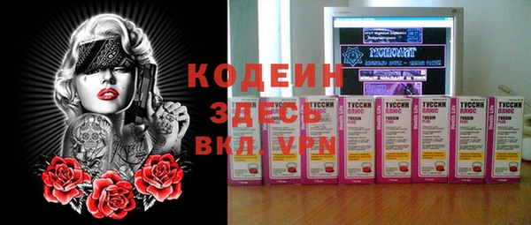 гидра Абаза