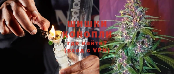 гидра Абаза
