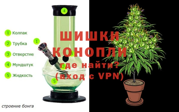 прущие грибы Абдулино