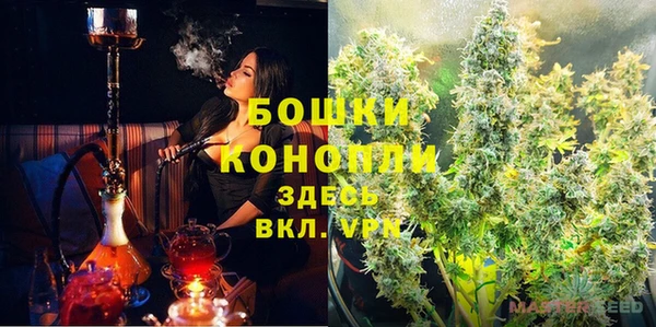 гидра Абаза