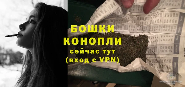 гидра Абаза