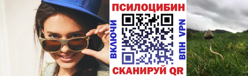 Галлюциногенные грибы Cubensis  закладки  Ермолино 